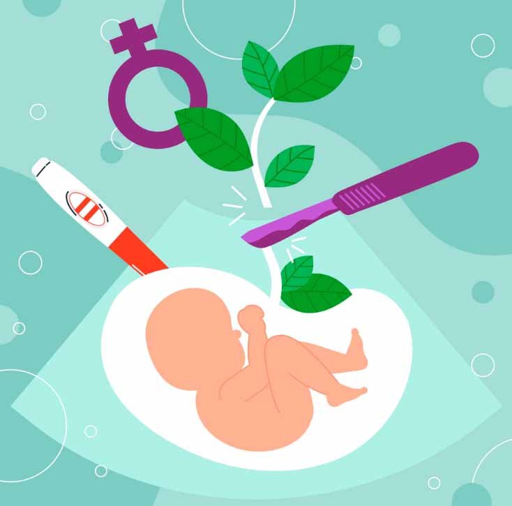 Environmental influences on fetal growth month by month