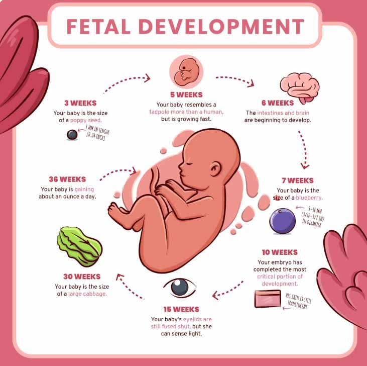 Sign up for fetal growth resources